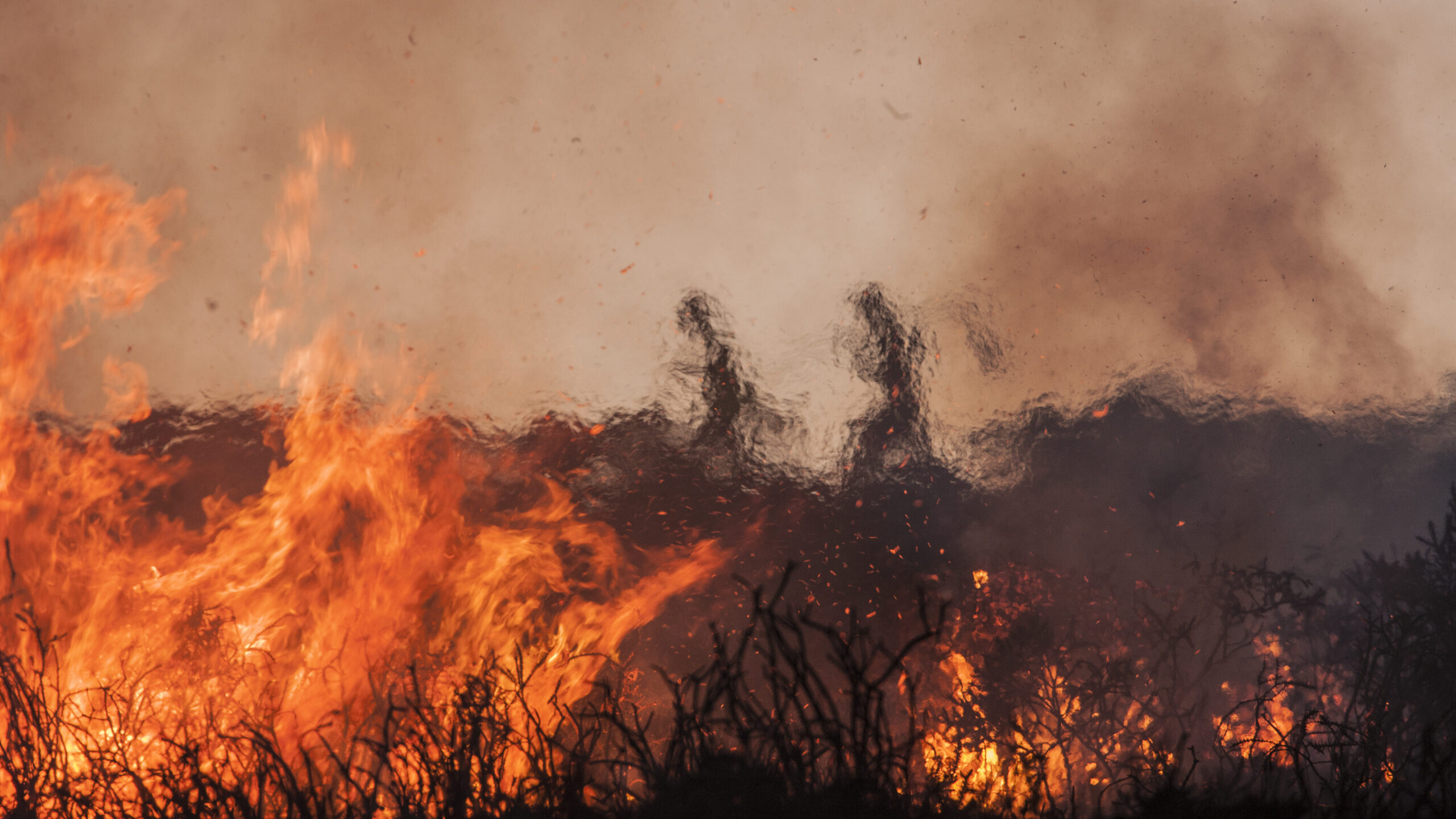 Wildfire burning bushes and smoky skies.