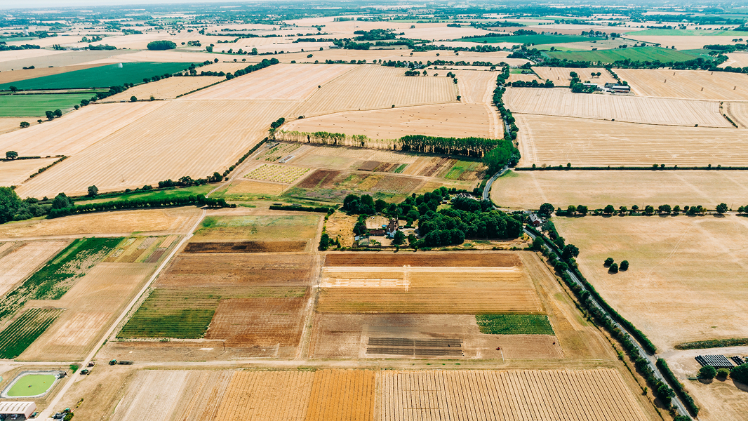 Aerial view of yellow fields impacted by drought