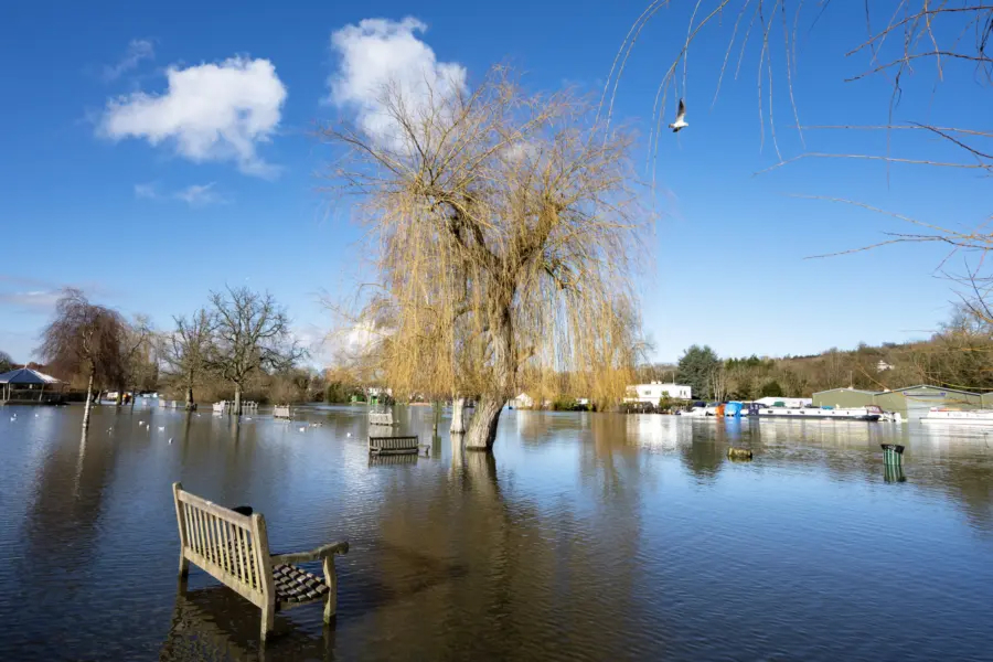 A flooded park scene